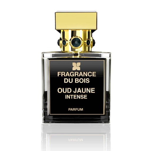 Oud Bleu Intense 100ML By Fragrance Du Bois