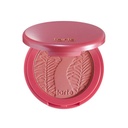 Tarte The Blush Authority