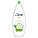 Dove Refreshing Body Wash 750ml