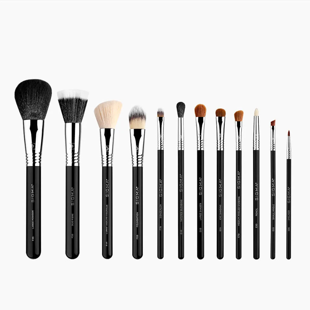 SIGMA Essential Brush Set