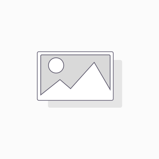 BEST Brush